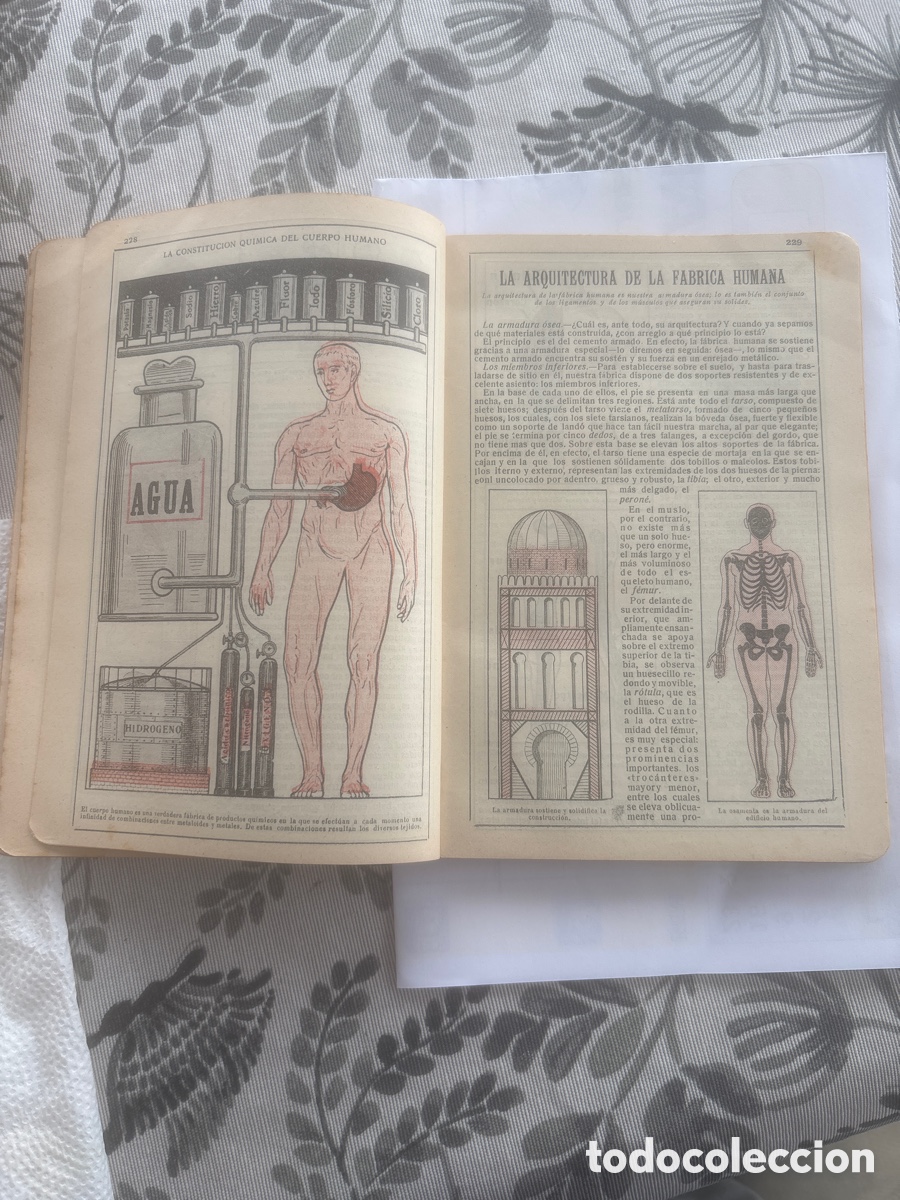 Libros antiguos: Almanaque Bailey-Bailliere - Foto 3