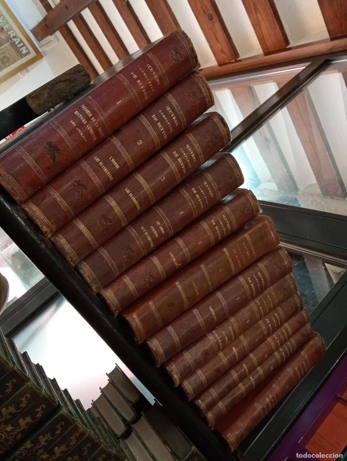 Libros antiguos: Oeuvres compl&egrave;tes de Buffon avec la nmenclature linn&eacute;enne et la classification de cuvier. 12 tomos -
