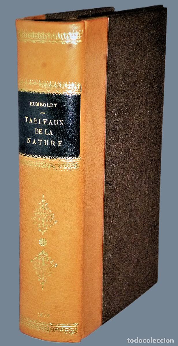 Libri antichi: TABLEAUX DE LA NATURE