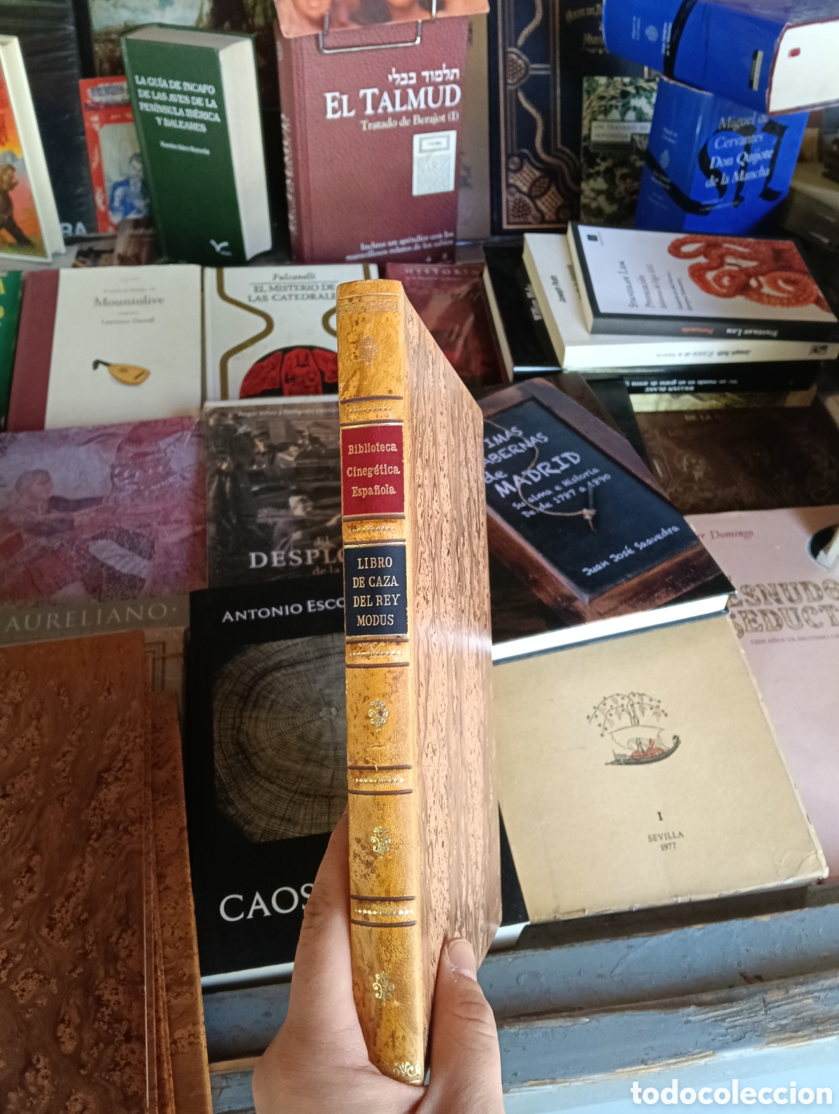 Libros antiguos: La caza del rey Modus - Juan de Herrera