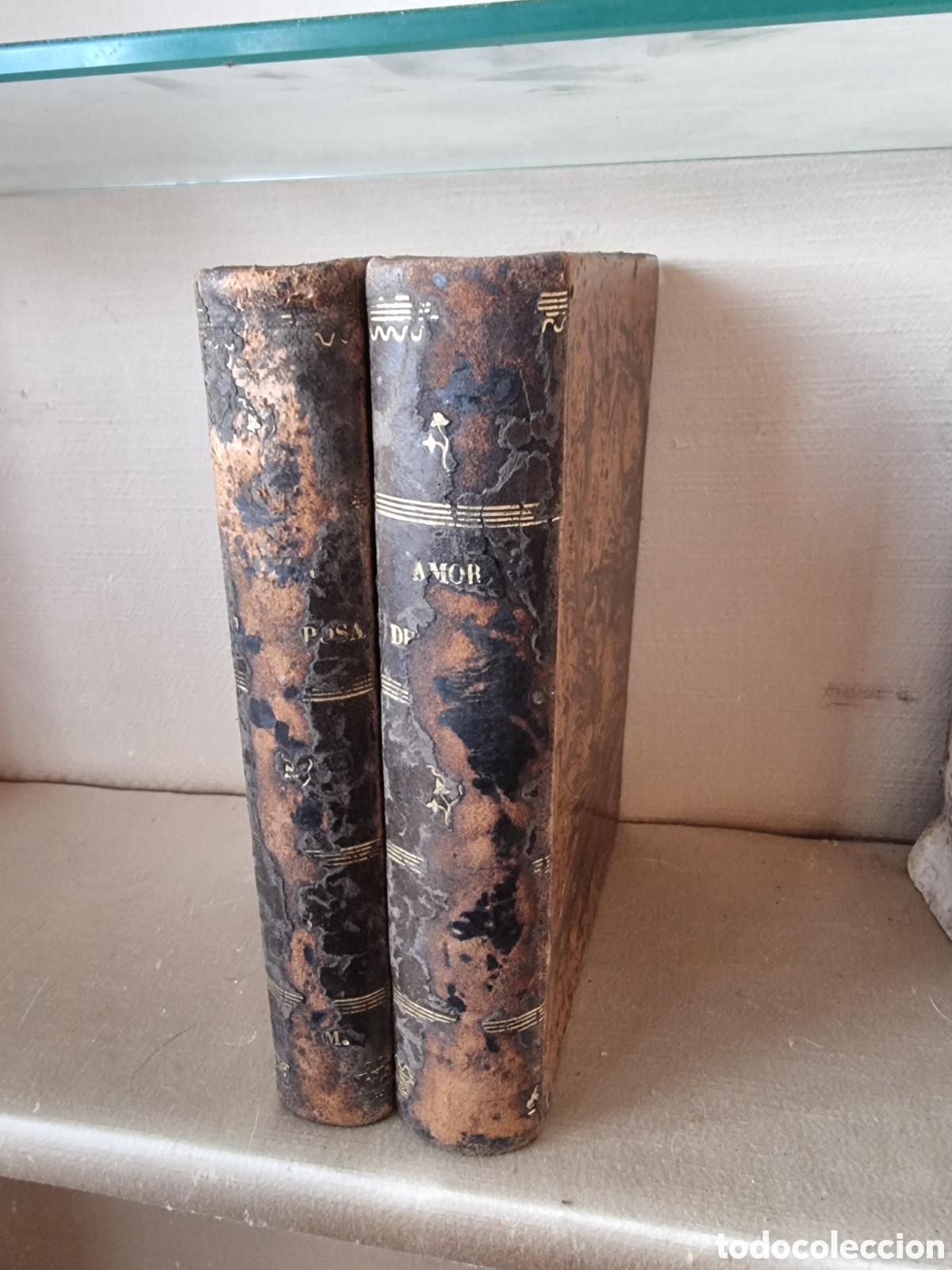 Libros antiguos: Amor de esposa - Antonio de Padua 1871 - Foto 6