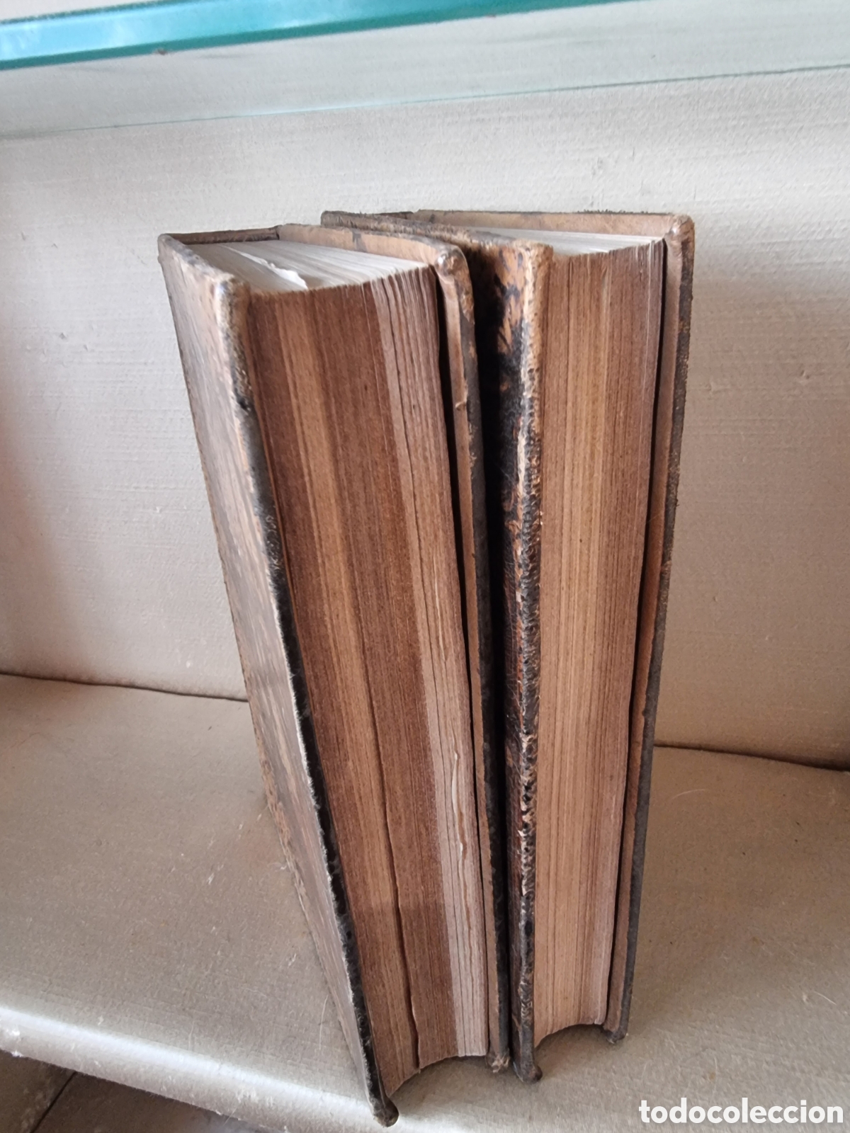 Libros antiguos: Amor de esposa - Antonio de Padua 1871 - Foto 7
