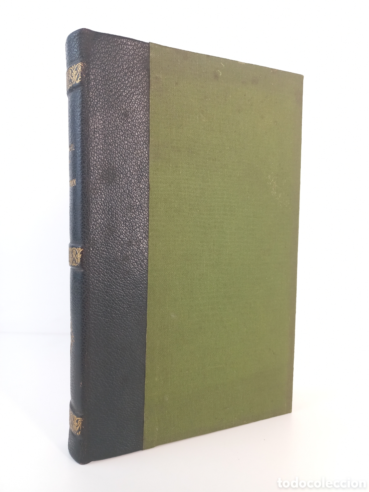 Old books: Danton. Hermann Wendel. Payot, 1932.