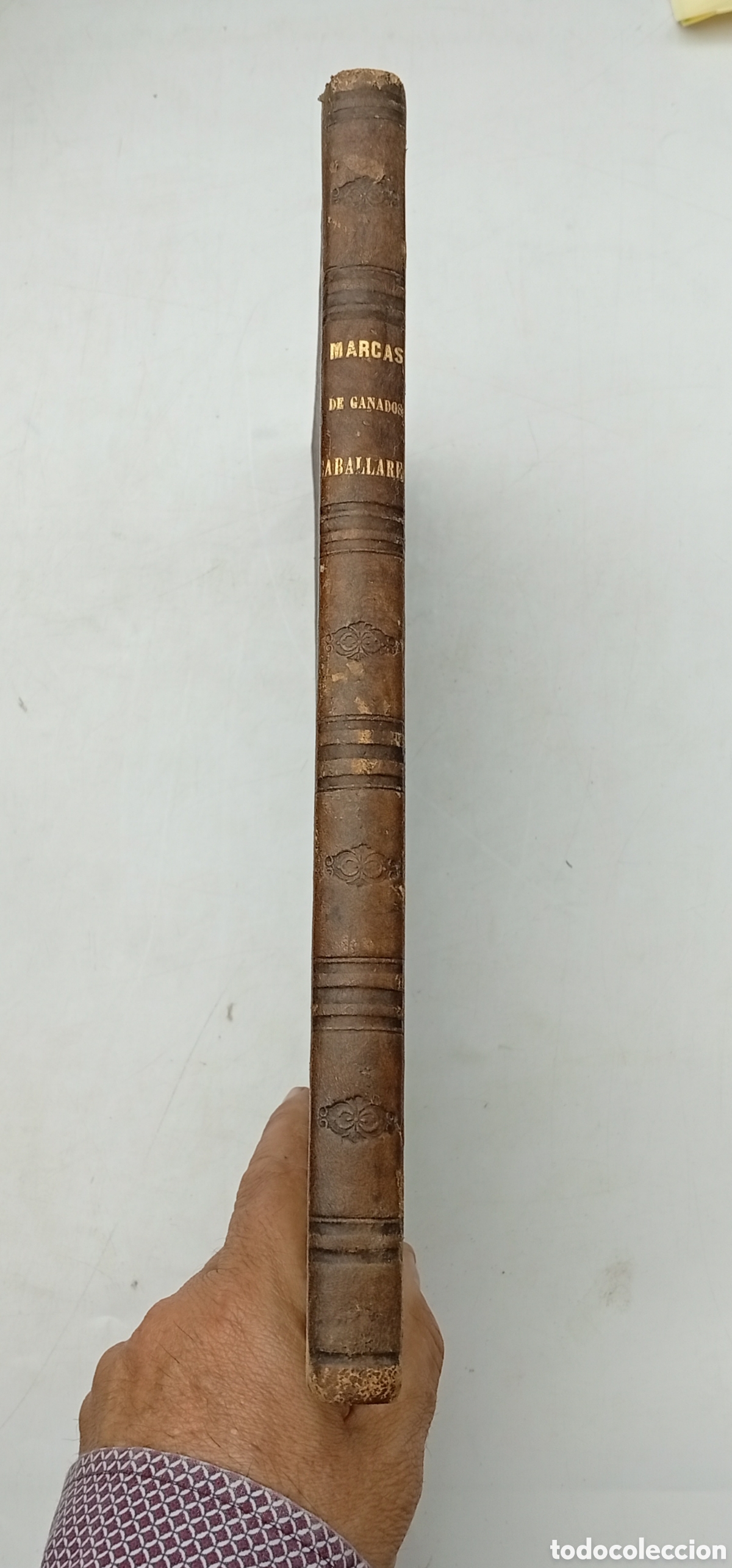 Libros antiguos: Libro de los hierros o marcas que usan criadores ganados y caballos 1860 C&oacute;rdoba