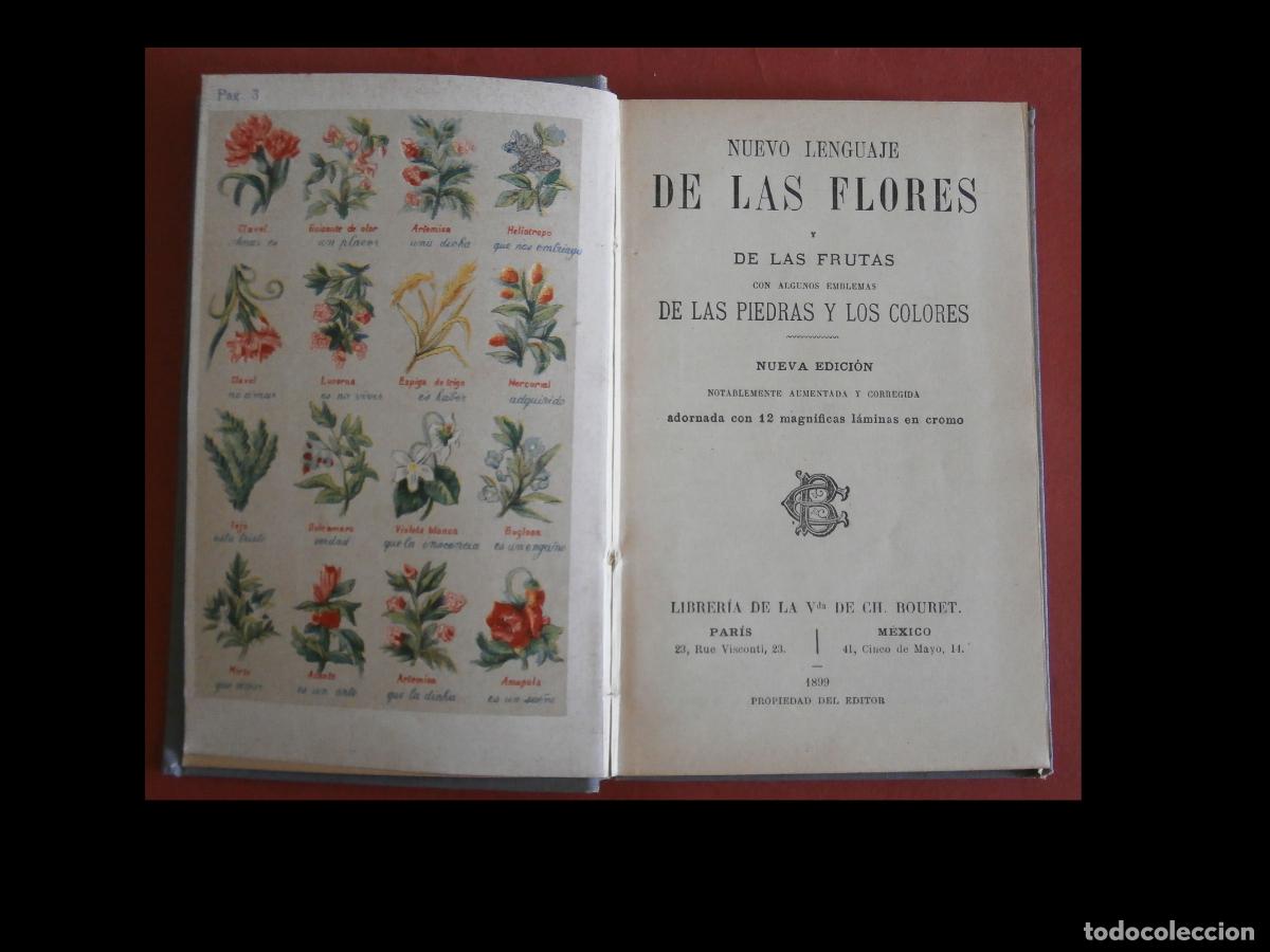 Libros antiguos: Nuevo Lenguaje de las Flores y de las Frutas con algunos emblemas de las Piedras y los Colores