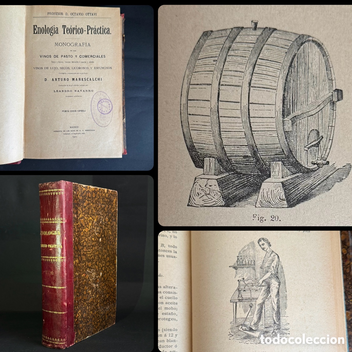 Livros antigos: 1900 - Enolog&iacute;a Te&oacute;rico - Pr&aacute;ctica - Octavio Ottavi - Vino - Primera Edici&oacute;n - Madrid - Alcoy