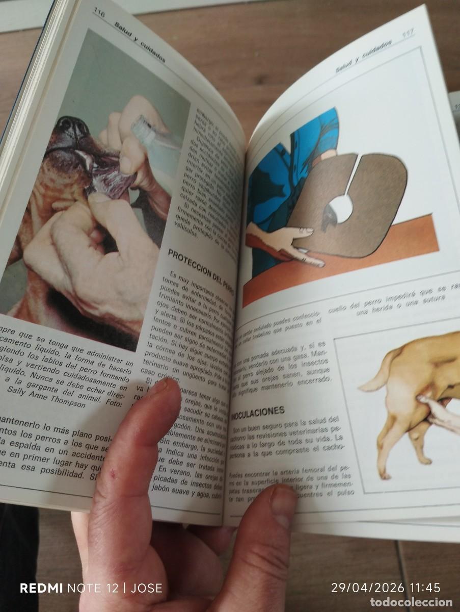 Libros antiguos: Libro - El caniche - VER FOTO - 620 - Foto 3