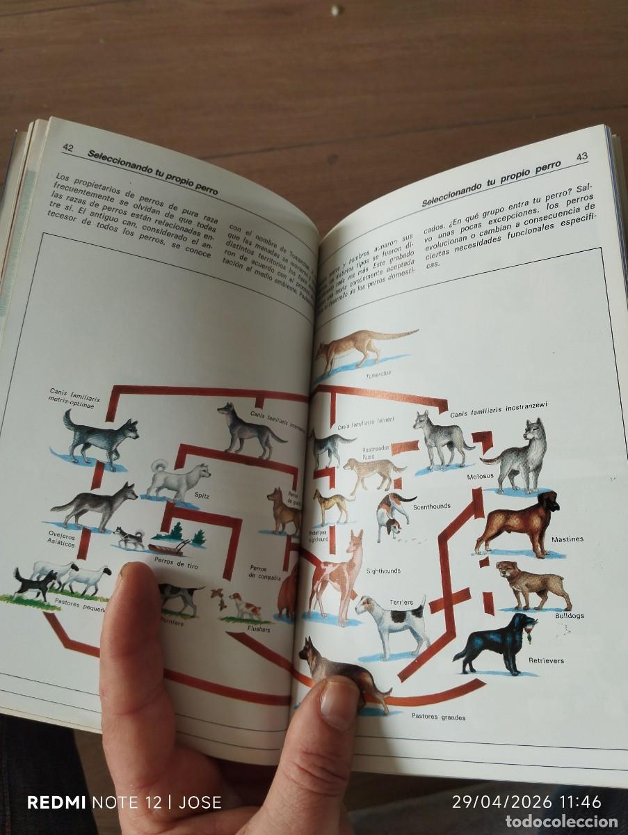 Libros antiguos: Libro - El caniche - VER FOTO - 620 - Foto 6