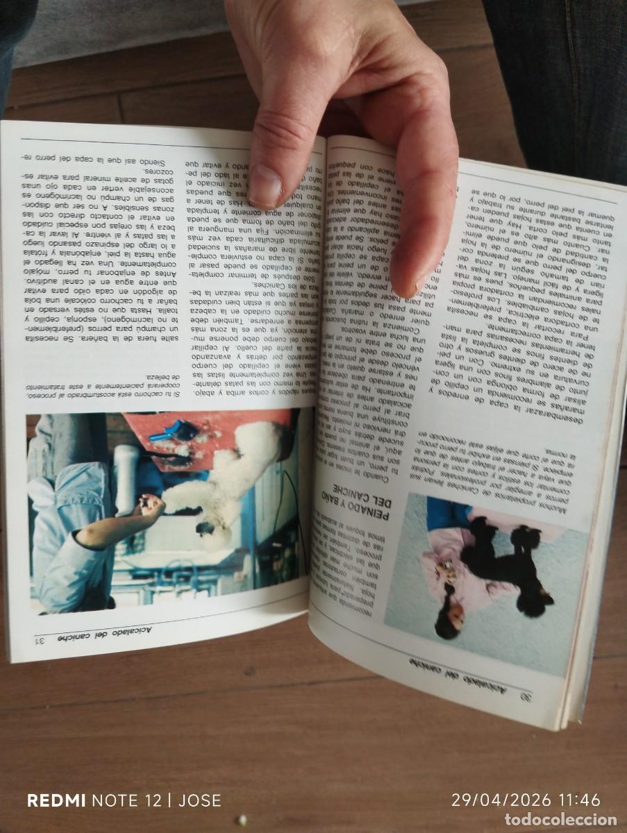 Libros antiguos: Libro - El caniche - VER FOTO - 620 - Foto 7