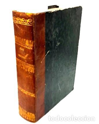 Libros antiguos: MODESTO LAFUENTE ... FRAY GERUNDIO PERIODICO SATIRICO DE POLITICA Y COSTUMBRES TOMO XII ... 1840