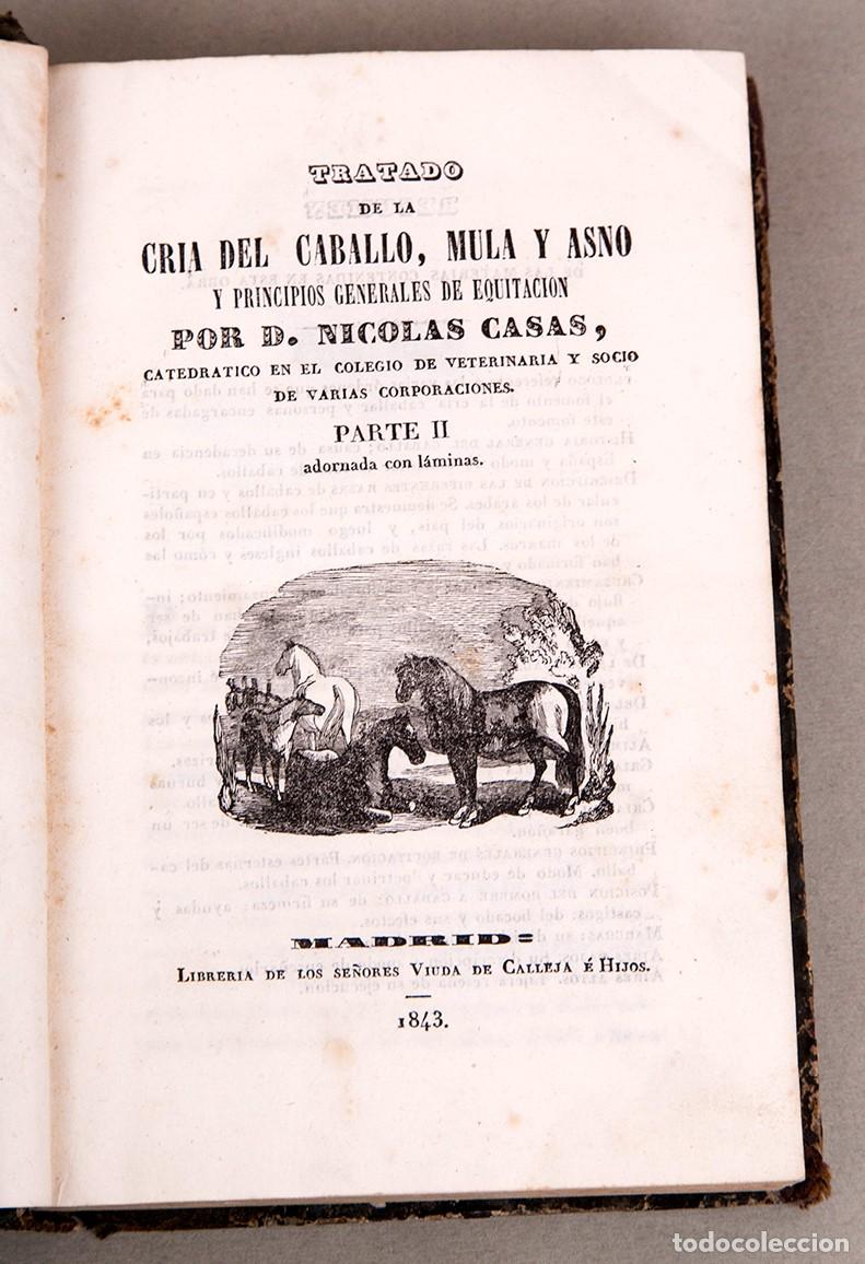 Libros antiguos: TRATADO DE LA CRIA DEL CABALLO,MULA Y ASNO - NICOLAS CASAS - PARTE II - 1843
