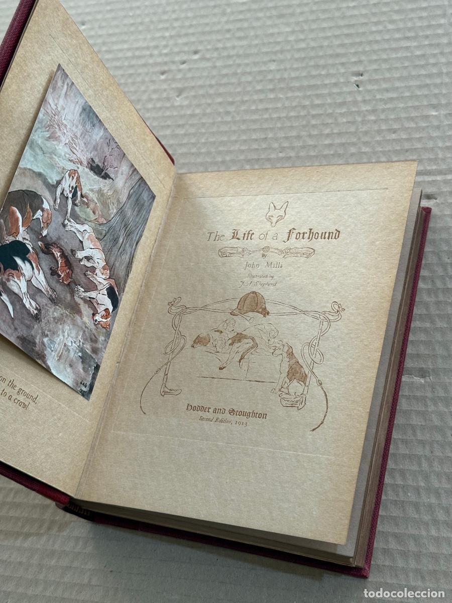 Libros antiguos: JOHN MILLS / THE LIFE OF A FOXHOUND / CAZA
