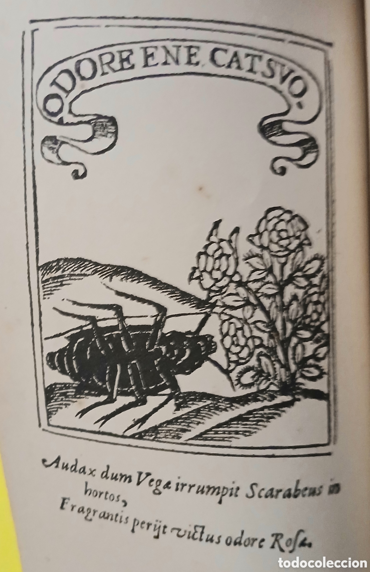 Libros antiguos: La Dorotea, L&oacute;pez de Vega - Foto 4