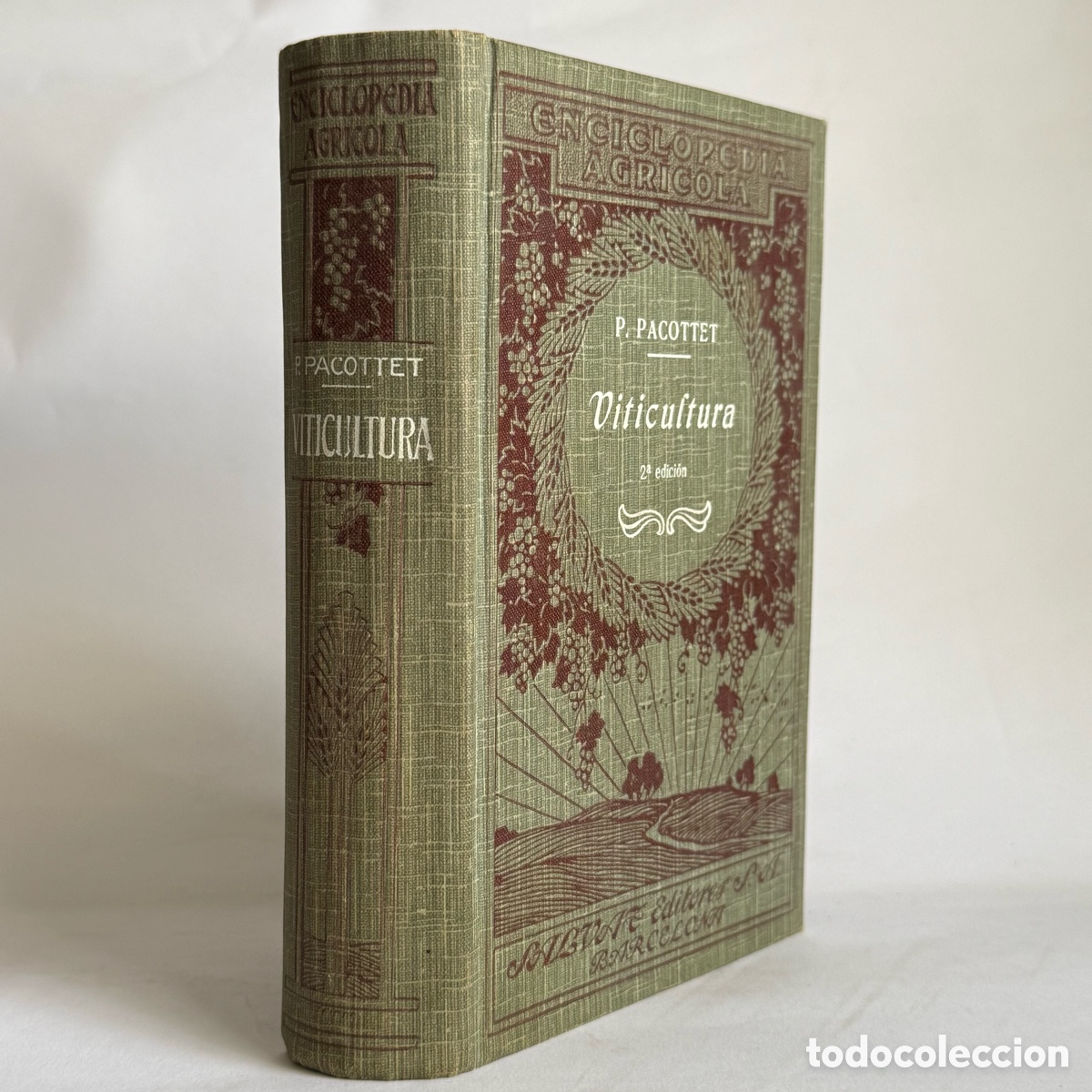 Libros antiguos: VITICULTURA - ENCICLOPEDIA AGR&Iacute;COLA - P. PACOTTET - SALVAT EDITORES - 1928 - Vino - Bodegas