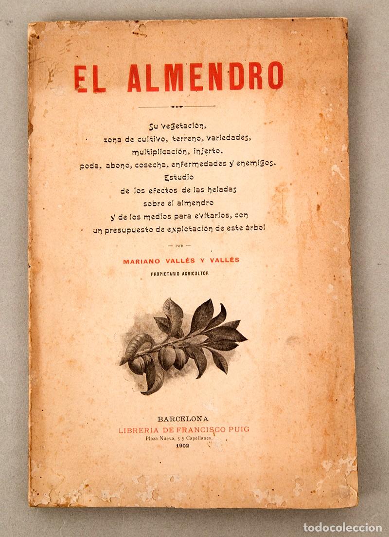 Libros antiguos: EL ALMENDRO - 1902 - MARIANO VALL&Eacute;S