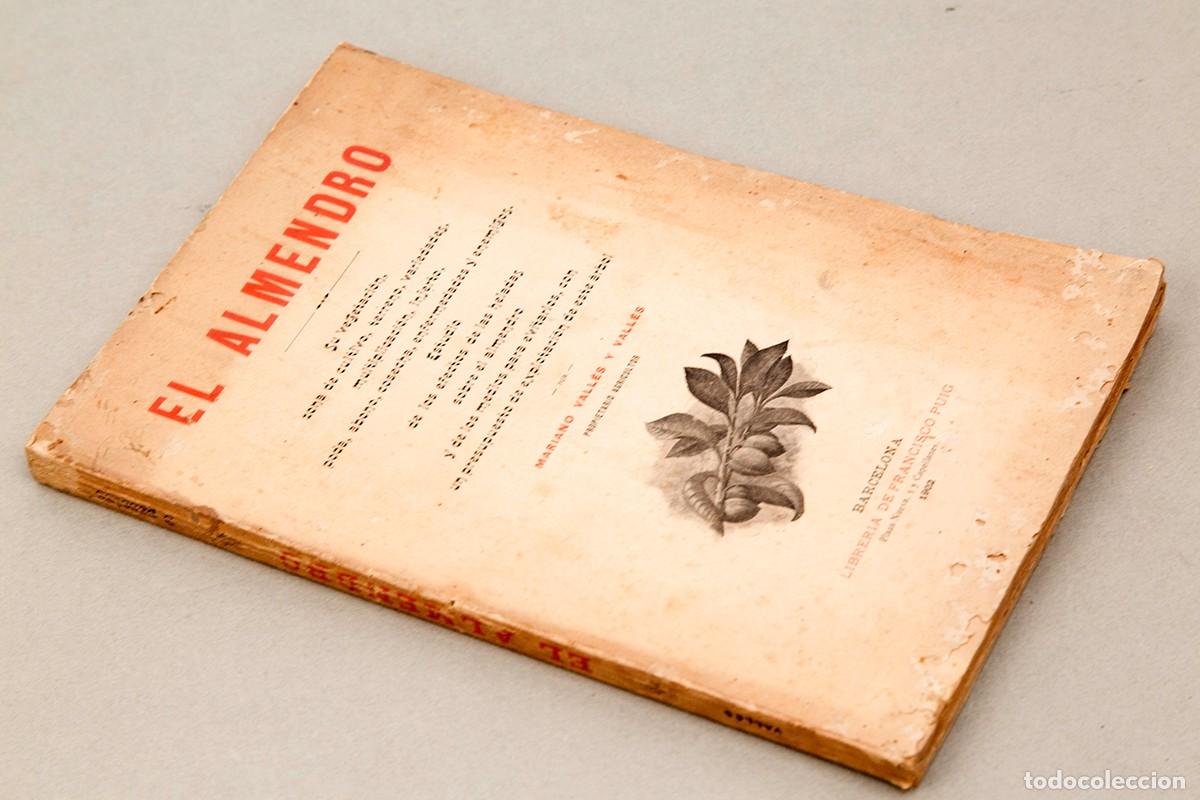 Libros antiguos: EL ALMENDRO - 1902 - MARIANO VALL&Eacute;S - Foto 2