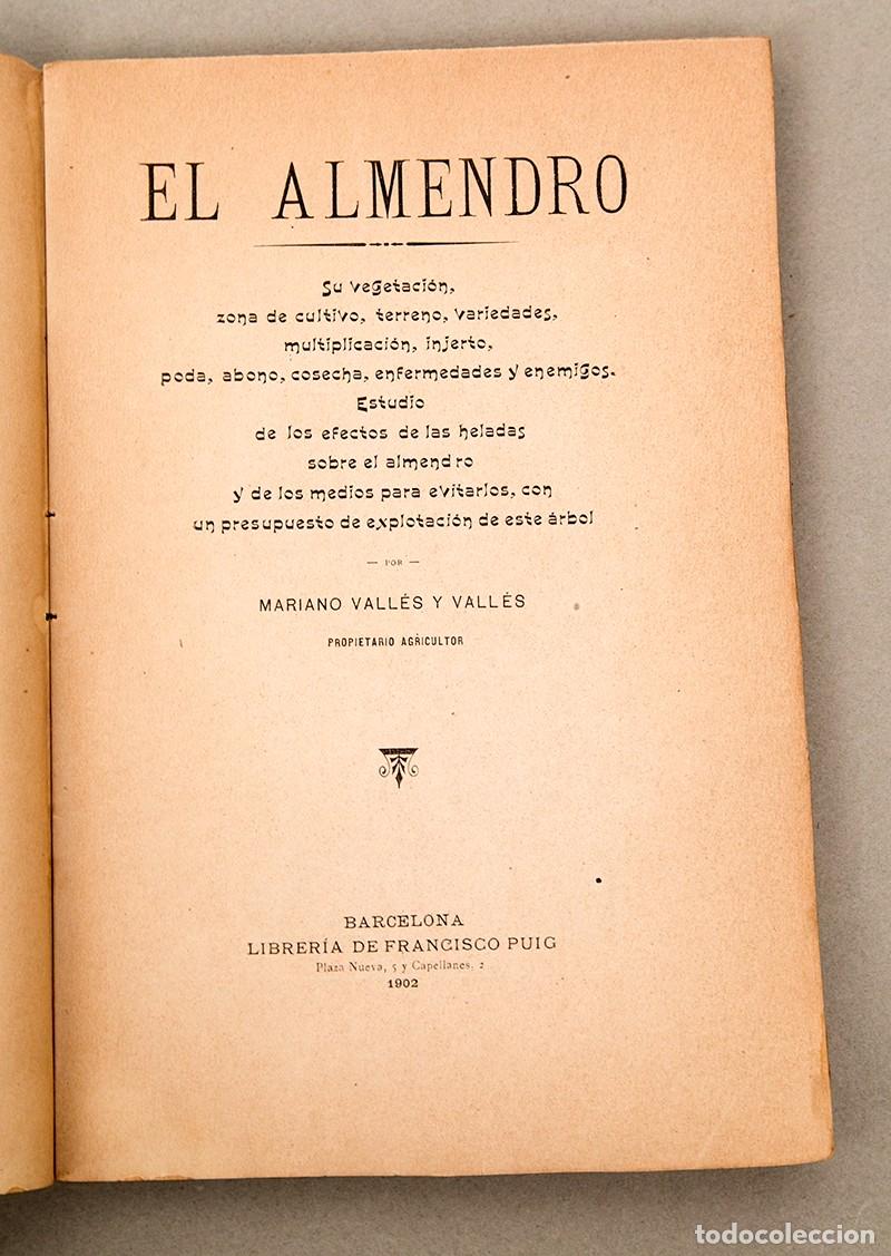 Libros antiguos: EL ALMENDRO - 1902 - MARIANO VALL&Eacute;S - Foto 3