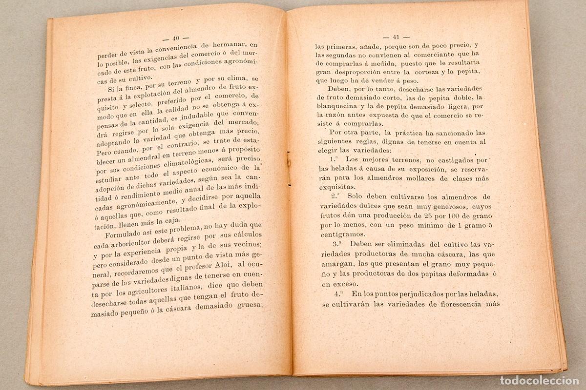 Libros antiguos: EL ALMENDRO - 1902 - MARIANO VALL&Eacute;S - Foto 4