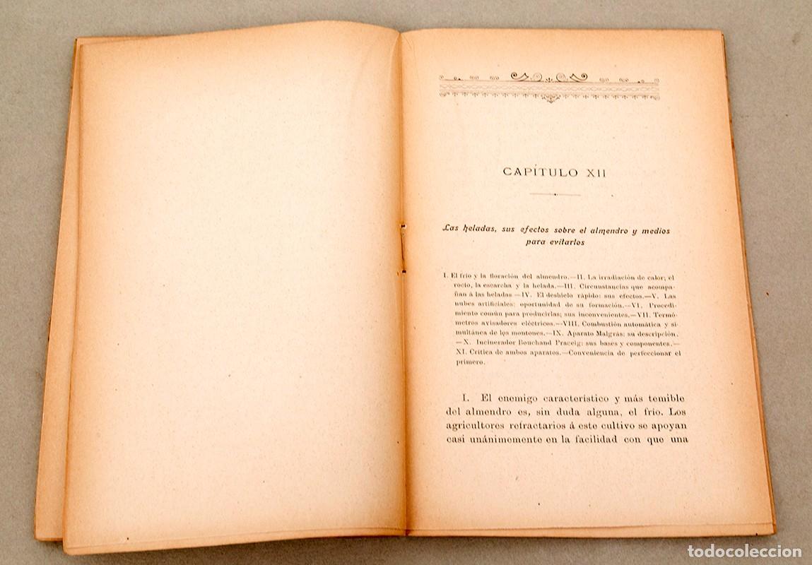 Libros antiguos: EL ALMENDRO - 1902 - MARIANO VALL&Eacute;S - Foto 5