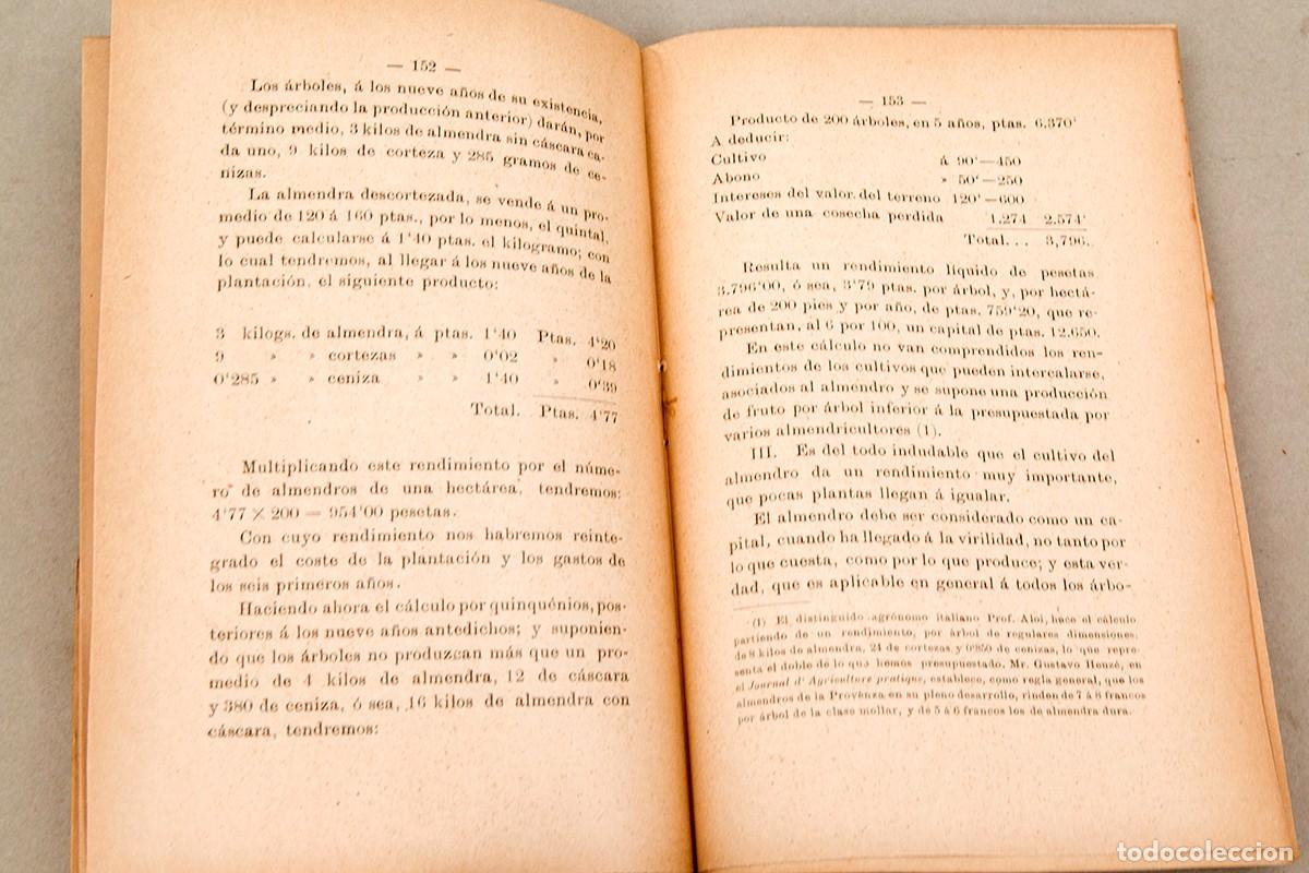 Libros antiguos: EL ALMENDRO - 1902 - MARIANO VALL&Eacute;S - Foto 6