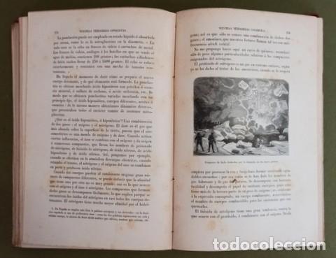 Libros antiguos: Albert Levy: Nuestras verdaderas conquistas. 1887 - Foto 7