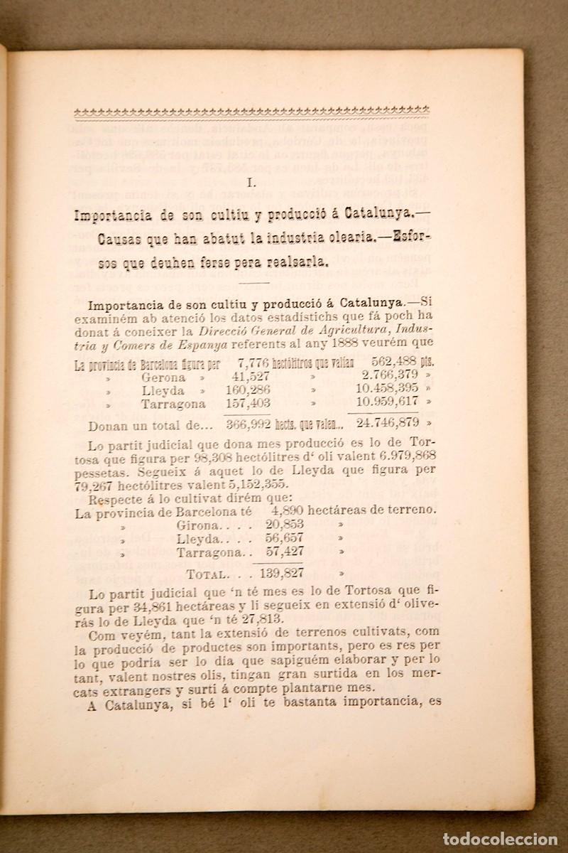 Libros antiguos: REGLAS PARA OBTENIR BONS OLIS - 1893 - Foto 4
