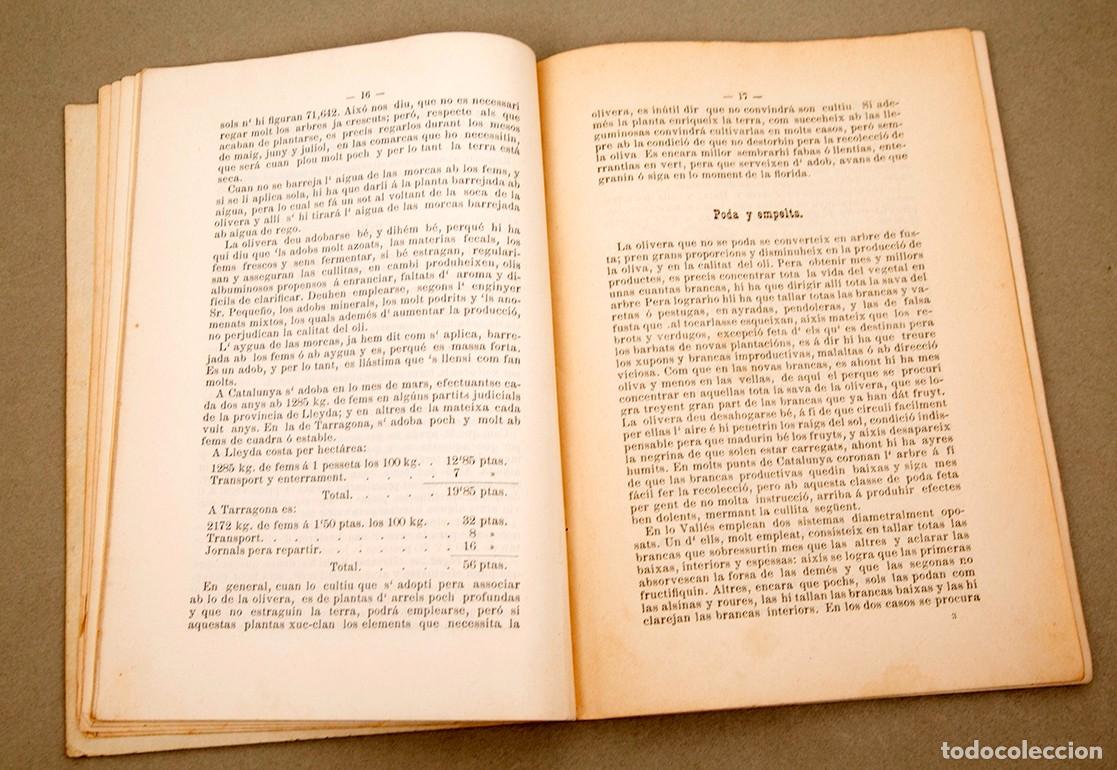 Libros antiguos: REGLAS PARA OBTENIR BONS OLIS - 1893 - Foto 5