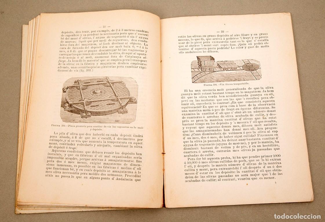 Libros antiguos: REGLAS PARA OBTENIR BONS OLIS - 1893 - Foto 6