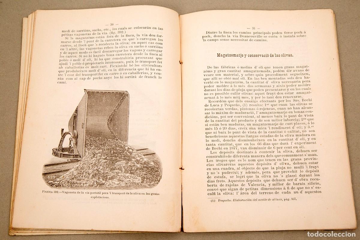 Libros antiguos: REGLAS PARA OBTENIR BONS OLIS - 1893 - Foto 7