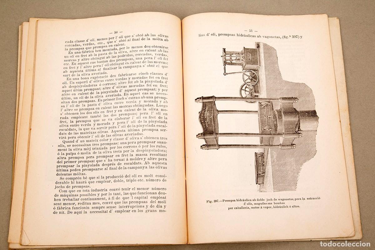Libros antiguos: REGLAS PARA OBTENIR BONS OLIS - 1893 - Foto 8