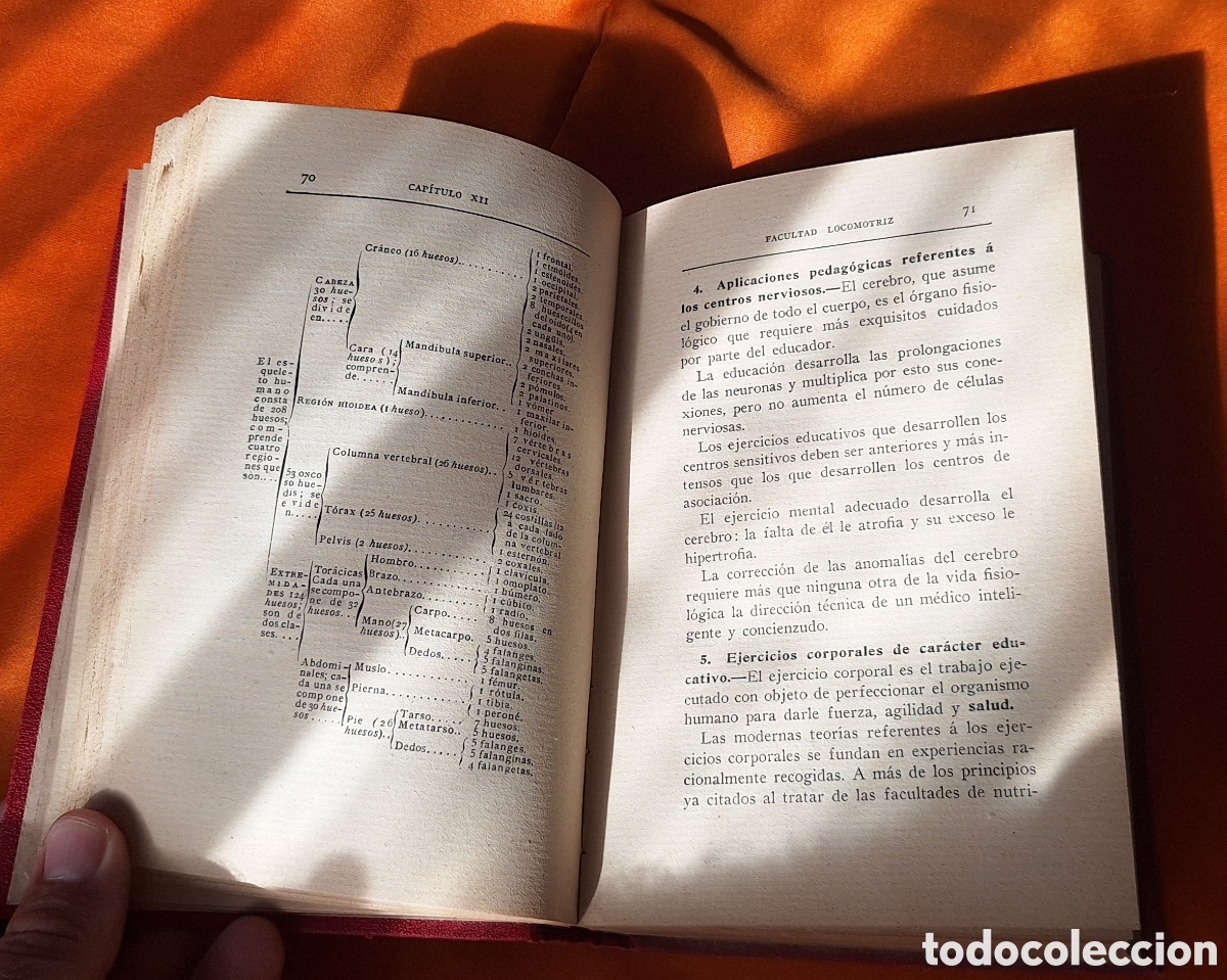 Libros antiguos: Lote de 8 Libros Variados Antiguos - Foto 26