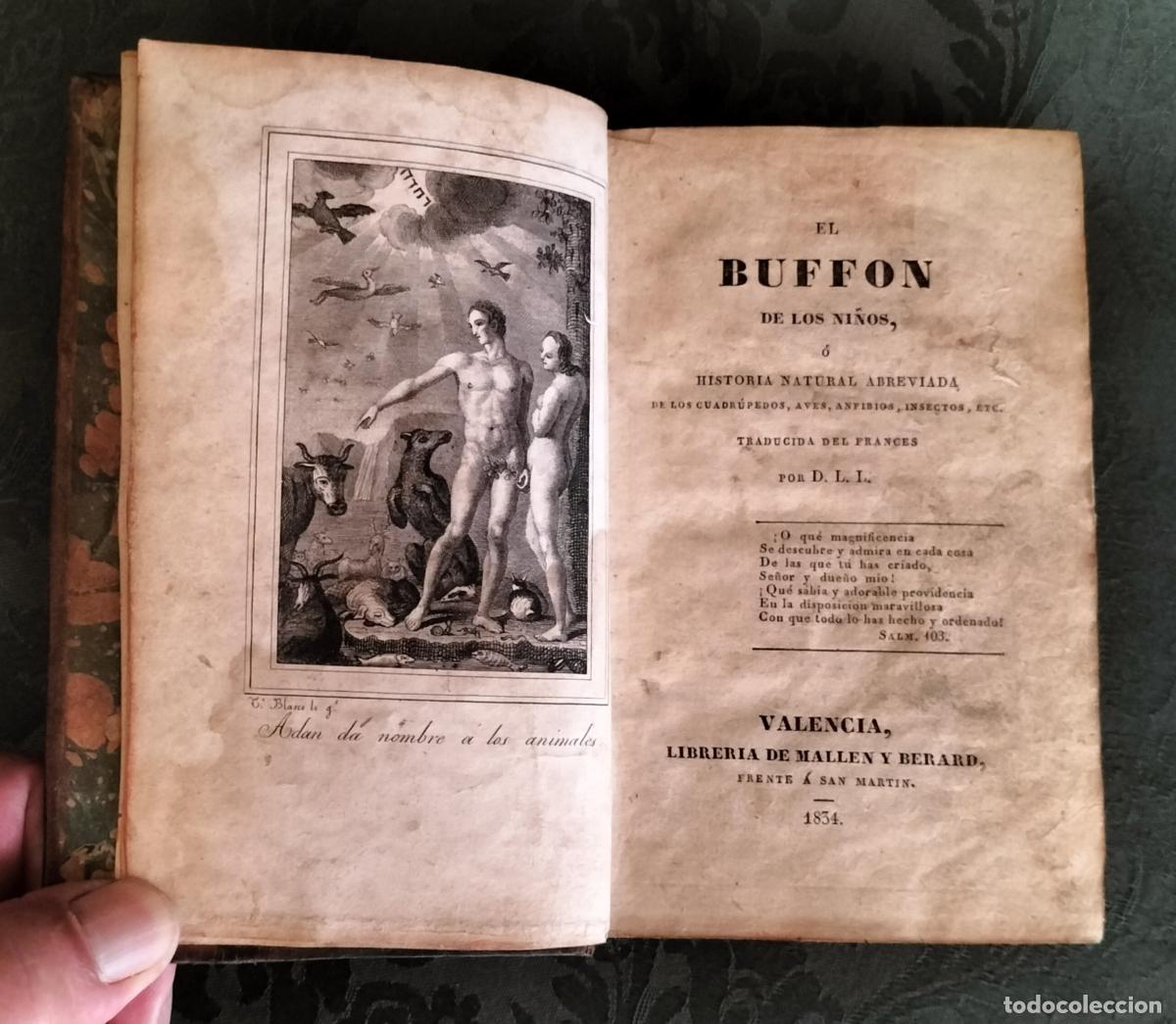 Libros antiguos: EL BUFFON DE LOS NI&Ntilde;OS, HISTORIA NATURAL ABREVIADA - VALENCIA 1834.
