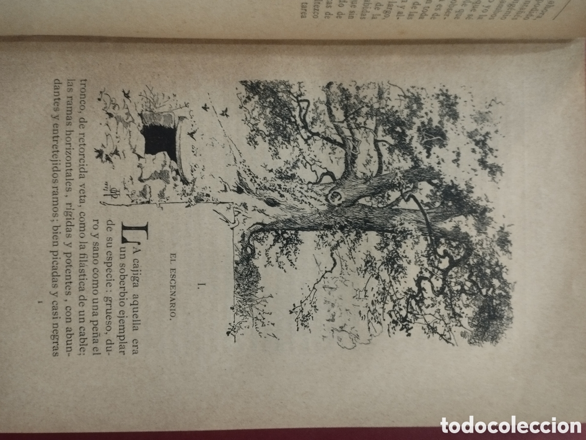 Libros antiguos: El sabor de la Tierruca a&ntilde;o 1882 - Foto 3