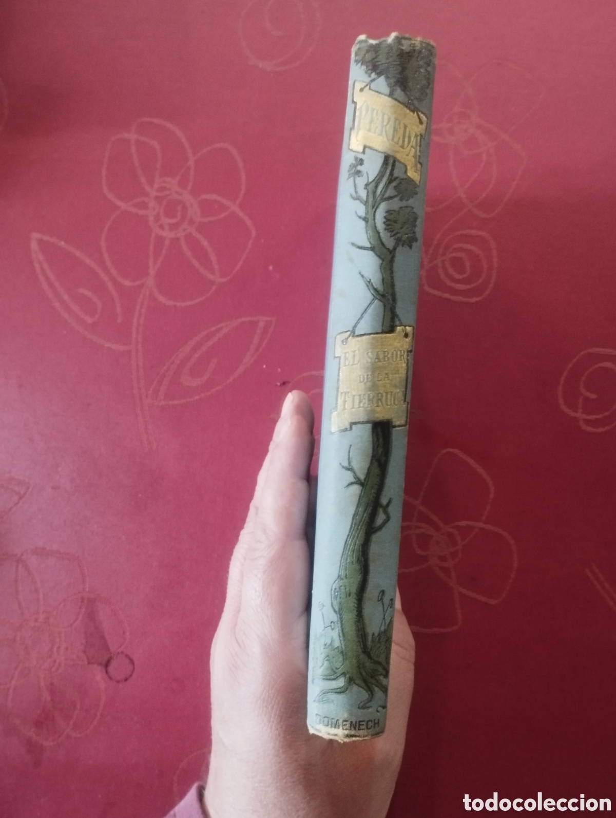 Libros antiguos: El sabor de la Tierruca a&ntilde;o 1882 - Foto 6