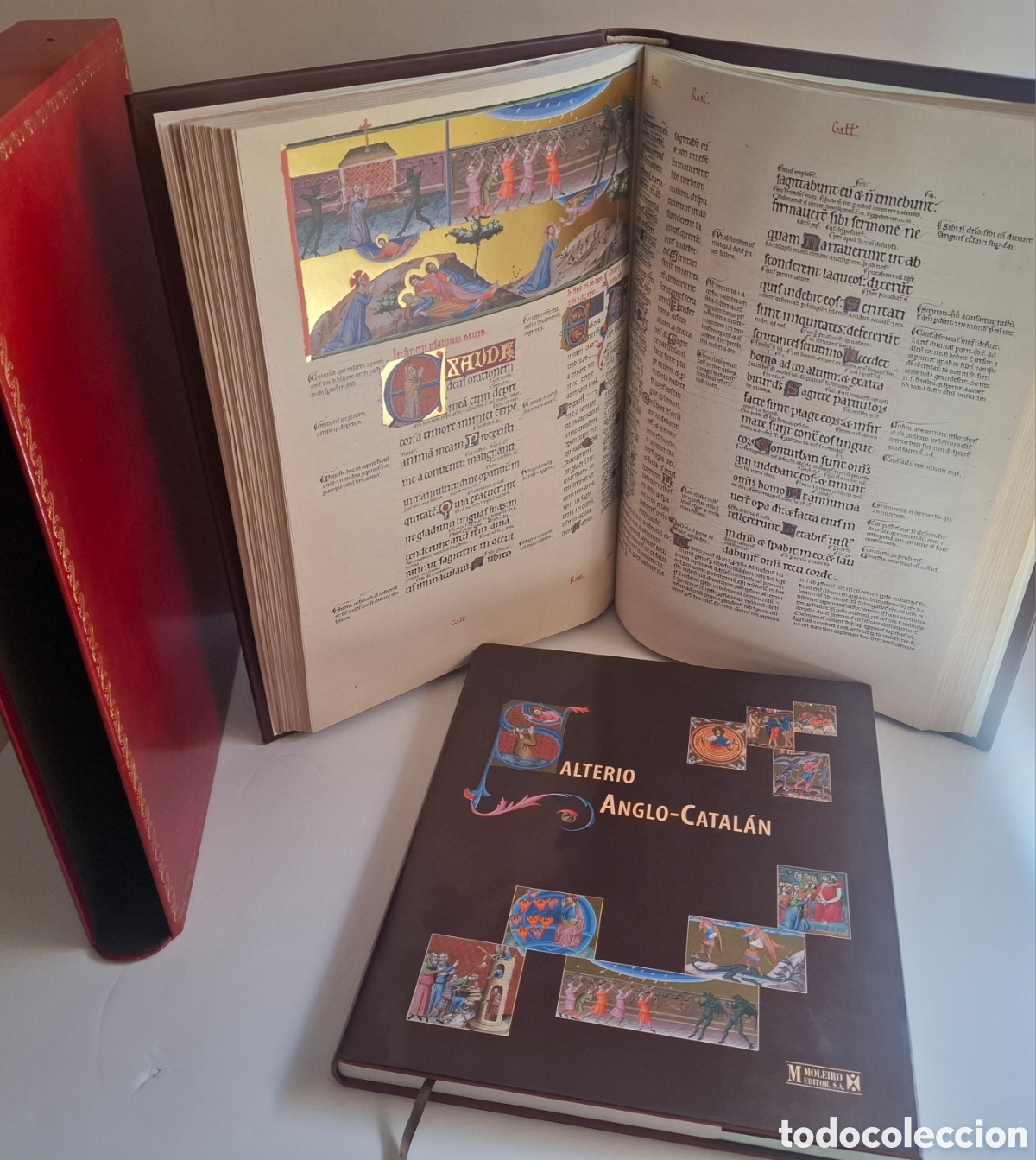 Libros antiguos: FACS&Iacute;MIL SALTERIO GLOSADO ANGLO-CATALAN. ED MOLEIRO
