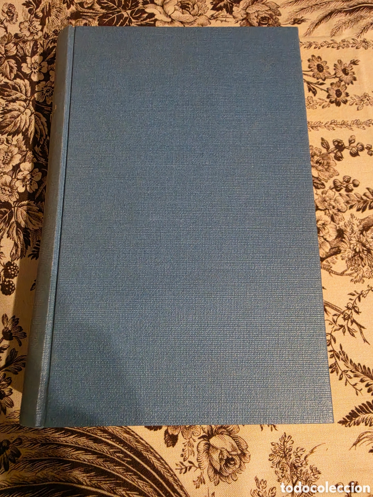 Libros antiguos: 1926. Historia de la Literatura Espa&ntilde;ola - Jaime Fitzmaurice-Kelly - 4&ordf; Ed. Corregida - Ruiz Hermano