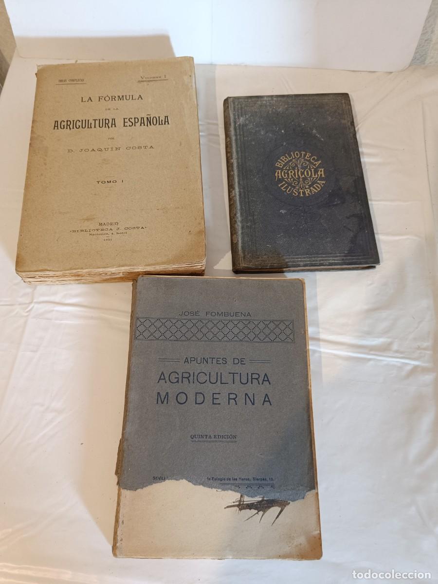 Libros antiguos: Lote 3 Libros Agr&iacute;colas Antiguos (1883-1928) - Joaqu&iacute;n Costa / Enolog&iacute;a / Grabados