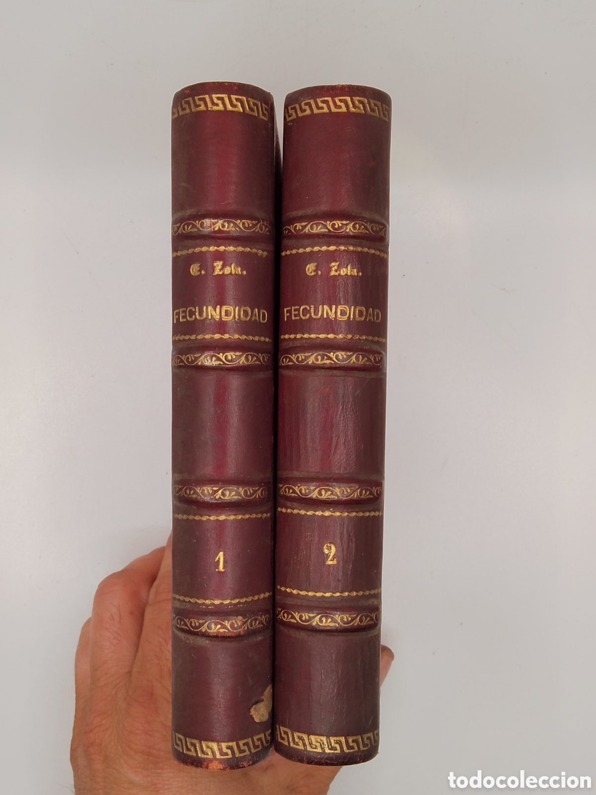 Libros antiguos: ZOLA, Emilio. FECUNDIDAD. 2 Tomos (Obra Completa). Casa Editorial Maucci, 1899. 1&ordf; Edici&oacute;n.