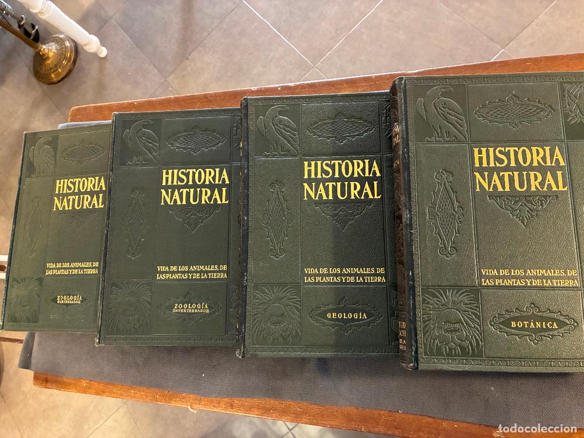 Libros antiguos: 4 tomos historia natural instituto Gallach libreria y ediciones Bot&aacute;nica,zoologia,geolog&iacute;a 1926/27