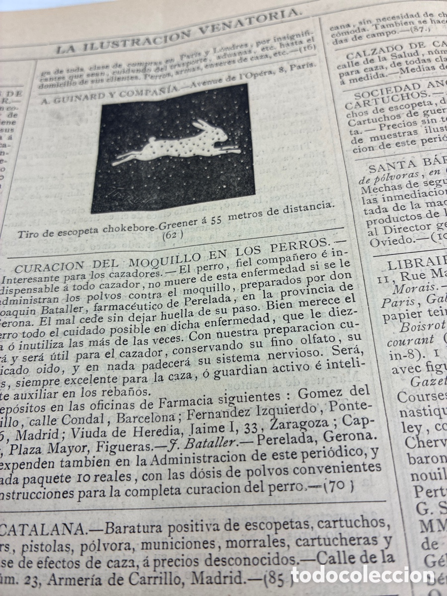 Libros antiguos: La Ilustraci&oacute;n Venatoria. A&ntilde;o 1883. - Foto 8