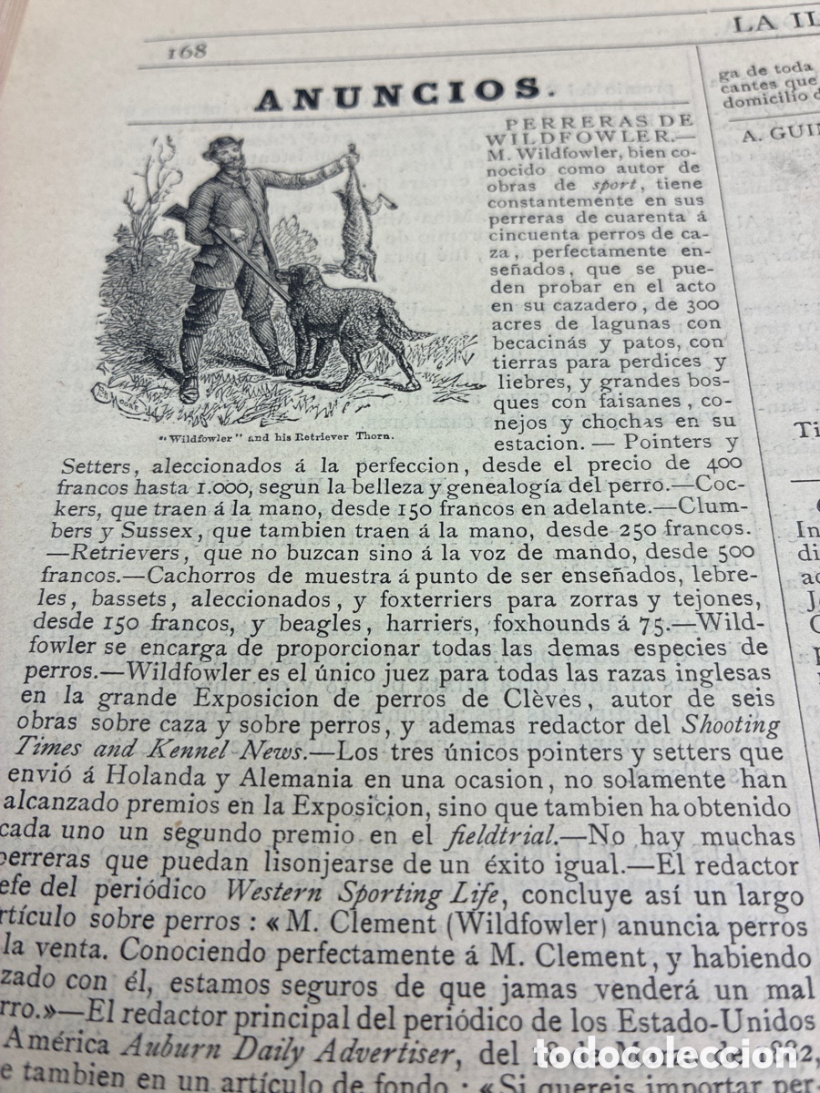 Libros antiguos: La Ilustraci&oacute;n Venatoria. A&ntilde;o 1883. - Foto 9