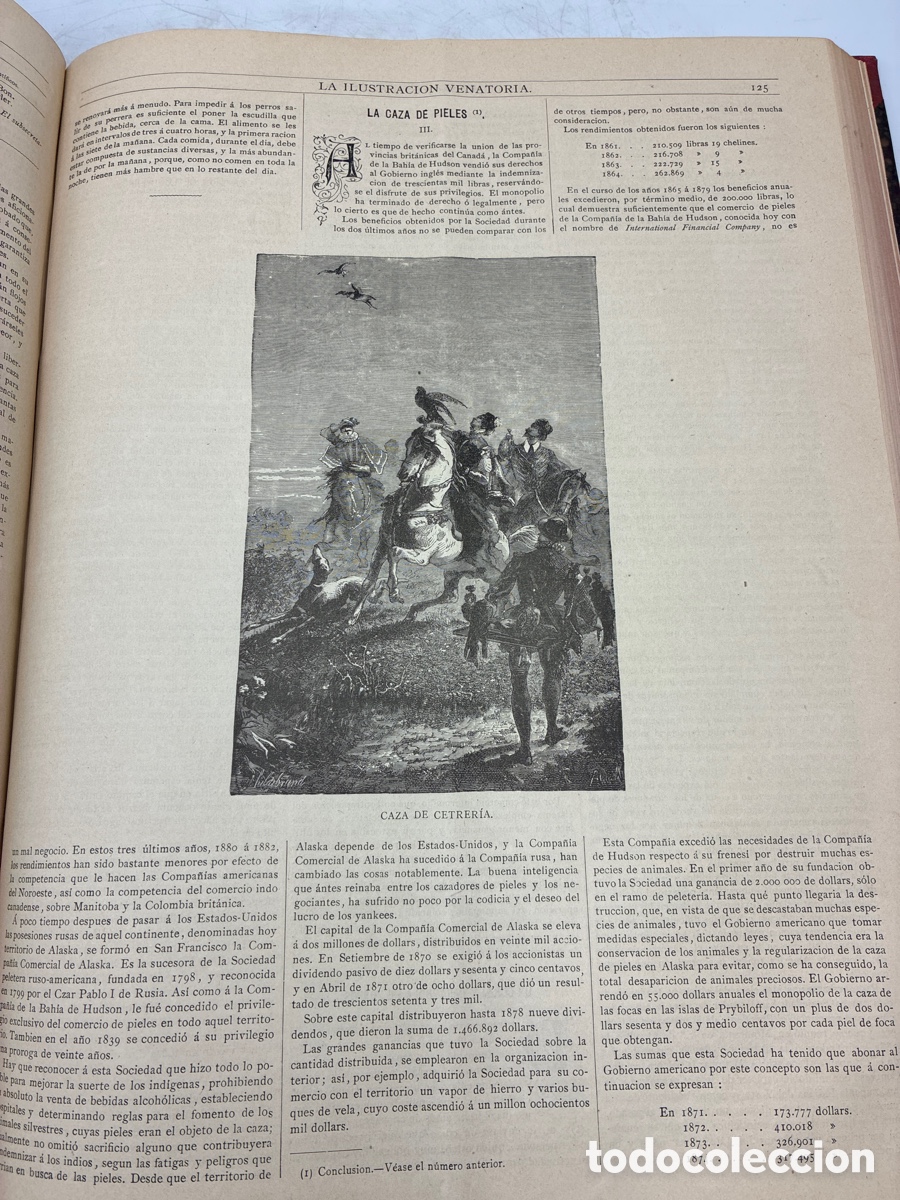 Libros antiguos: La Ilustraci&oacute;n Venatoria. A&ntilde;o 1883. - Foto 14