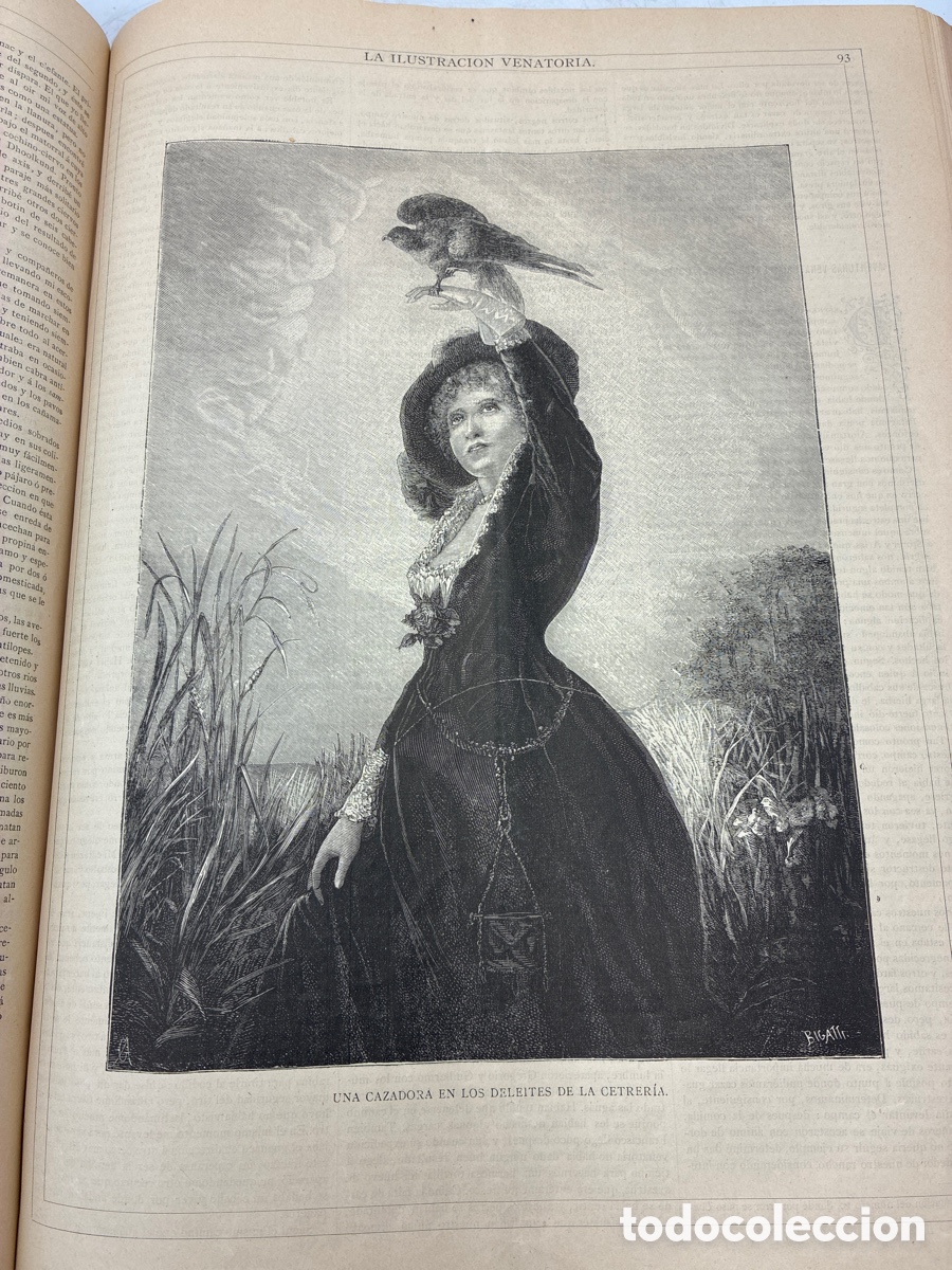 Libros antiguos: La Ilustraci&oacute;n Venatoria. A&ntilde;o 1883. - Foto 15