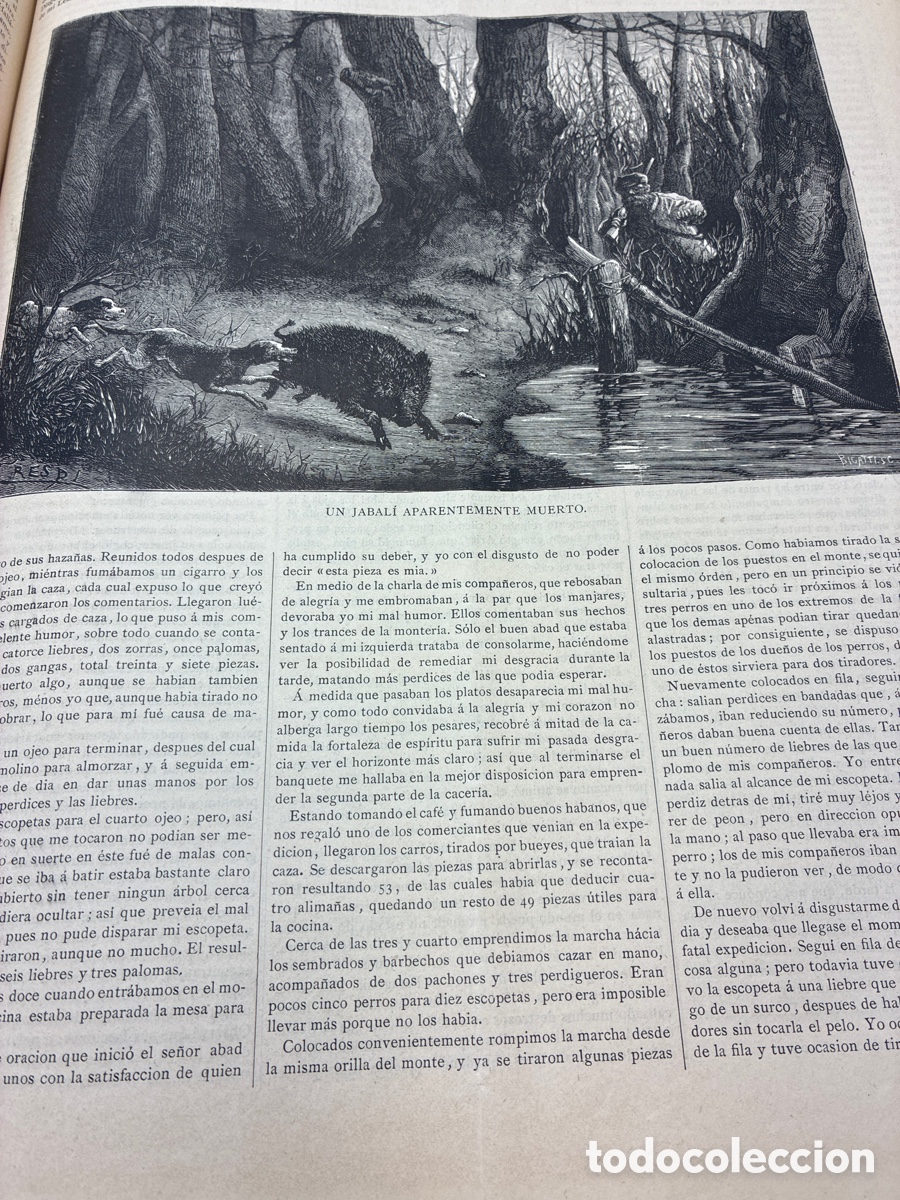 Libros antiguos: La Ilustraci&oacute;n Venatoria. A&ntilde;o 1883. - Foto 16