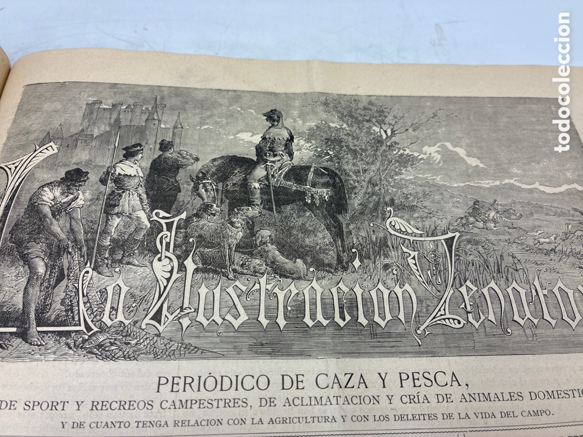 Libros antiguos: La Ilustraci&oacute;n Venatoria. A&ntilde;o 1883. - Foto 17