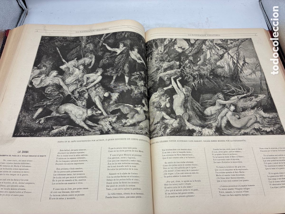 Libros antiguos: La Ilustraci&oacute;n Venatoria. A&ntilde;o 1883. - Foto 18