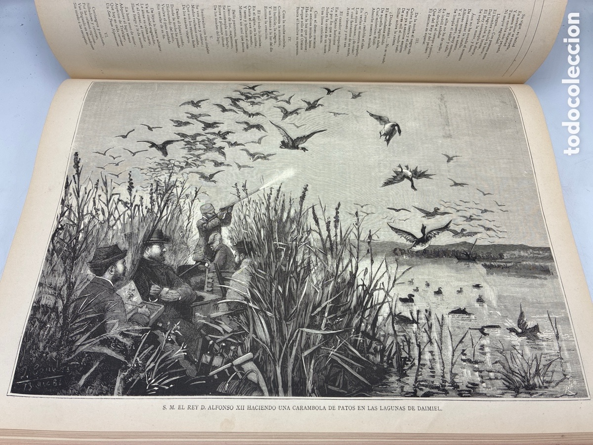 Libros antiguos: La Ilustraci&oacute;n Venatoria. A&ntilde;o 1883. - Foto 19