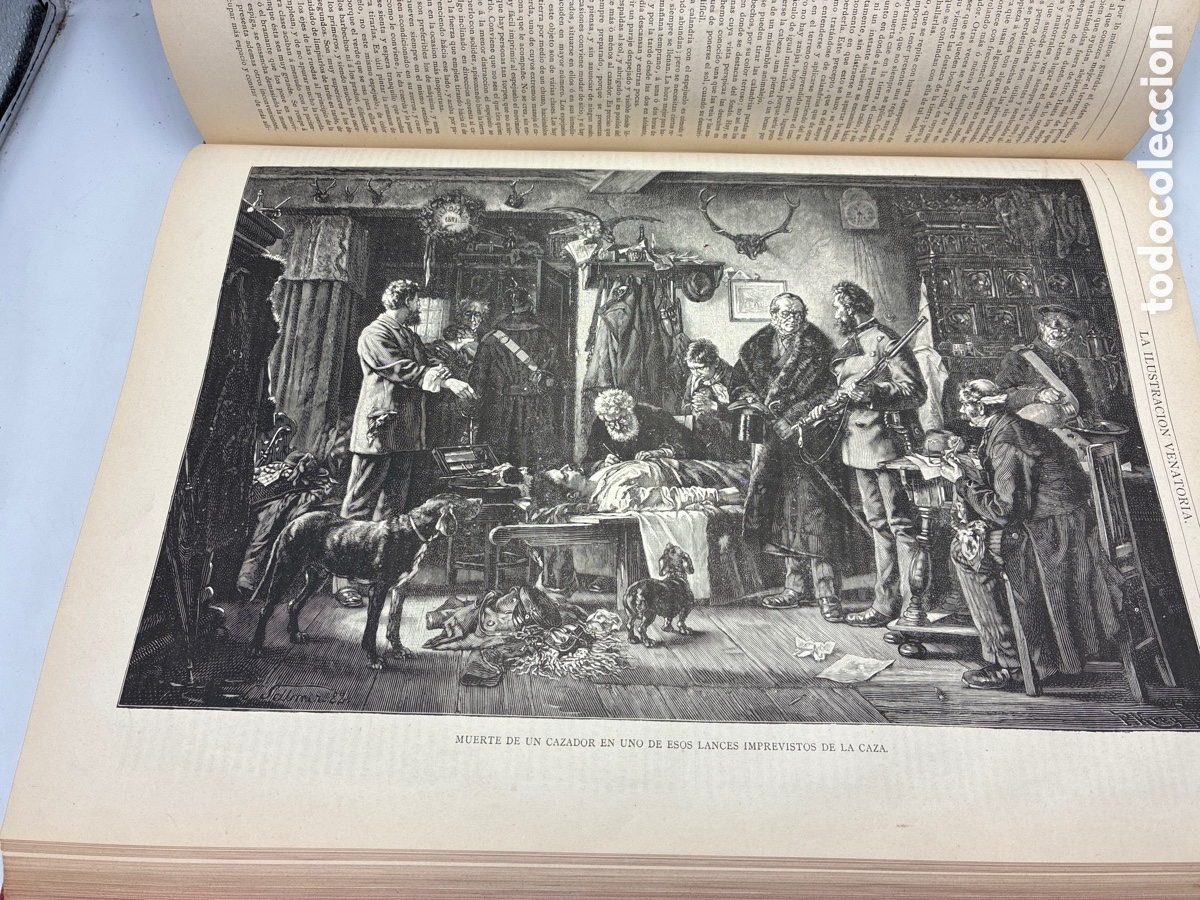 Libros antiguos: La Ilustraci&oacute;n Venatoria. A&ntilde;o 1883. - Foto 20