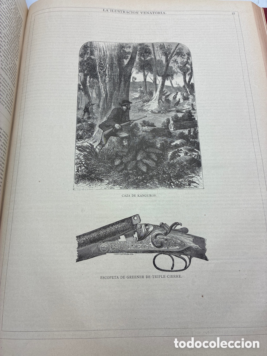 Libros antiguos: La Ilustraci&oacute;n Venatoria. A&ntilde;o 1883. - Foto 22