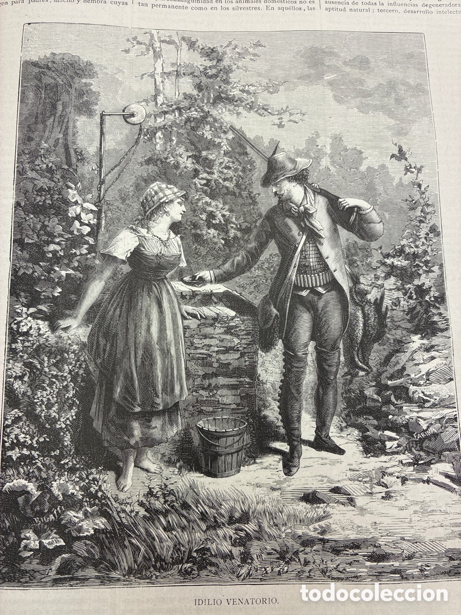 Libros antiguos: La Ilustraci&oacute;n Venatoria. A&ntilde;o 1883. - Foto 3